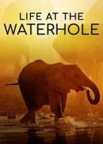 Watch Life at the Waterhole Gomovies