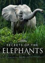 Watch Secrets of the Elephants Gomovies
