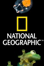 Watch Nat Geo Amazing! Gomovies