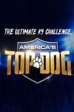Watch America\'s Top Dog Gomovies