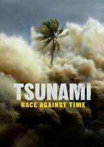 Watch Tsunami: Race Against Time Gomovies