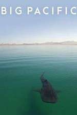 Watch Big Pacific Gomovies