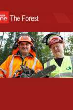 Watch The Forest Gomovies