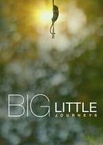 Watch Big Little Journeys Gomovies