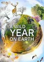 Watch A Wild Year on Earth Gomovies