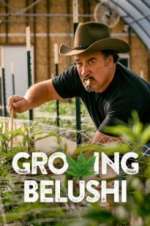 Watch Growing Belushi Gomovies