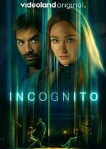 Watch Incognito Gomovies