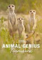 Watch Animal Genius Gomovies