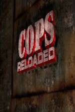 Watch Cops Reloaded Gomovies