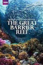 Watch Great Barrier Reef with David Attenborough Gomovies