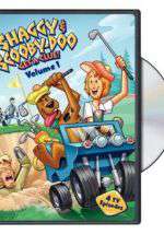 Watch Shaggy & Scooby-Doo Get a Clue Gomovies