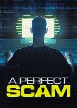 Watch A Perfect Scam Gomovies