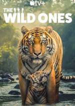 Watch The Wild Ones Gomovies