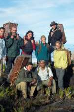 Watch Out Of The Wild: Venezuela Gomovies