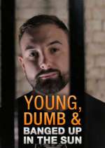 Watch Young Dumb & Banged Up in the Sun Gomovies