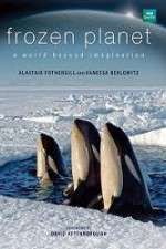 Watch Frozen Planet Gomovies
