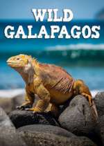 Watch Wild Galapagos Gomovies