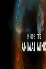 Watch Inside the Animal Mind Gomovies
