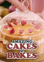 Watch Amazing Cakes & Bakes Gomovies