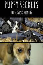 Watch Puppy Secrets: The First Six Months Gomovies