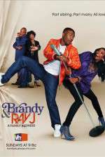 Watch Brandy and Ray J: A Family Business Gomovies