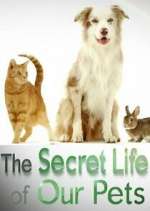 Watch The Secret Life of Our Pets Gomovies