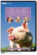 Watch All Creatures Great and Small Gomovies