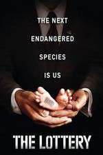 Watch The Lottery Gomovies