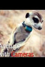 Watch Animals with Cameras Gomovies