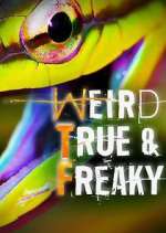 Watch Weird, True & Freaky Gomovies