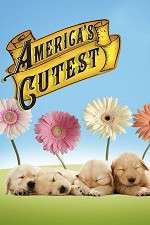 Watch America's Cutest Gomovies