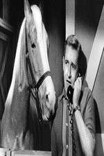 Watch Countdown to... Gomovies