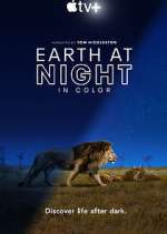 Watch Earth At Night In Color Gomovies