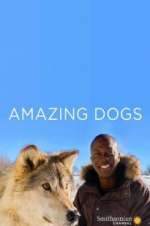 Watch Amazing Dogs Gomovies
