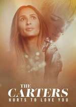 Watch The Carters: Hurts To Love You Gomovies