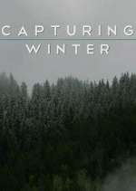 Watch Capturing Winter Gomovies