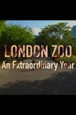 Watch London Zoo: An Extraordinary Year Gomovies