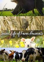 Watch Secret Life of Farm Animals Gomovies