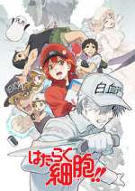 Watch Cells at Work! Gomovies