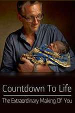 Watch Countdown to Life The Extraordinary Making of You Gomovies