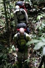 Watch Walking The Amazon Gomovies