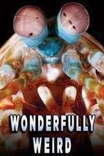 Watch Wonderfully Weird Gomovies