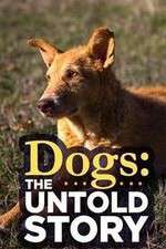 Watch Dogs: The Untold Story Gomovies