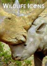 Watch Wildlife Icons Gomovies