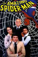 Watch The Amazing Spider-Man Gomovies