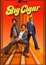 Watch The Big Cigar Gomovies