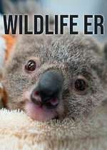 Watch Wildlife ER Gomovies