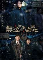 Watch Winter Begonia Gomovies