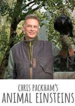 Watch Chris Packham's Animal Einsteins Gomovies