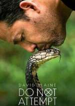 Watch David Blaine Do Not Attempt Gomovies